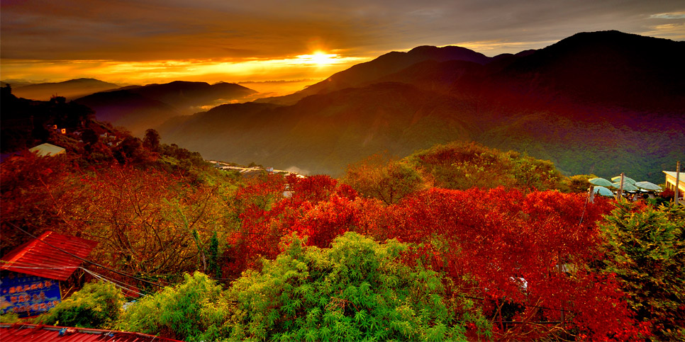Đài Loan mùa lá vàng lá đỏ