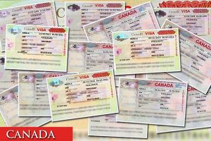visa Candada 10 năm