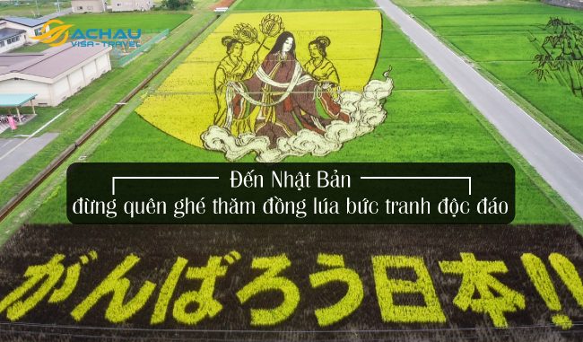 bìa Đến Nhật Bản đừng quên ghé thăm đồng lúa bức tranh độc đáo